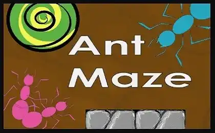 ant maze