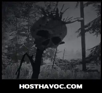 hosthavoc game servers 3